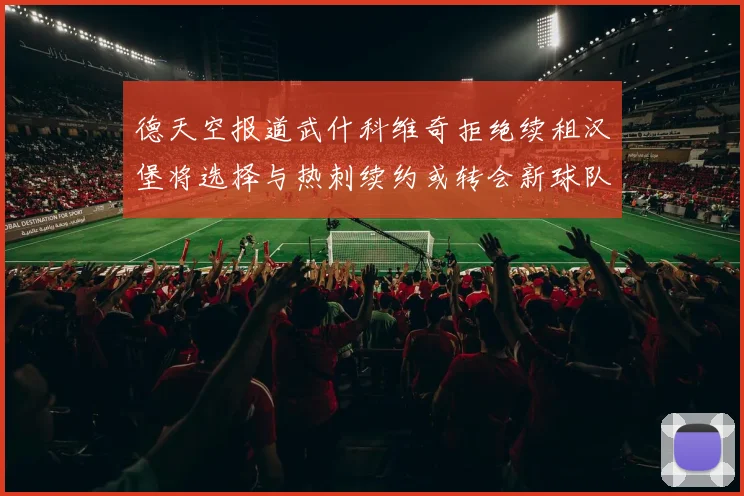 德天空报道武什科维奇拒绝续租汉堡将选择与热刺续约或转会新球队